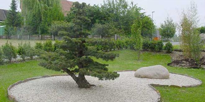 Wyder Gartenbau AG